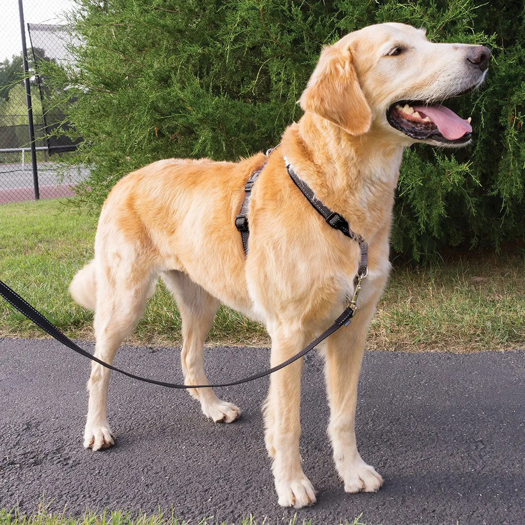 3 in 1™ Harness and Car Restraint