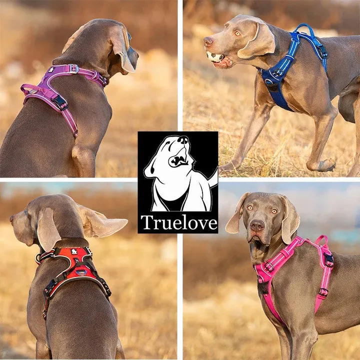 Breathable No-Pull Dog Harness, Reflective Nylon, Small