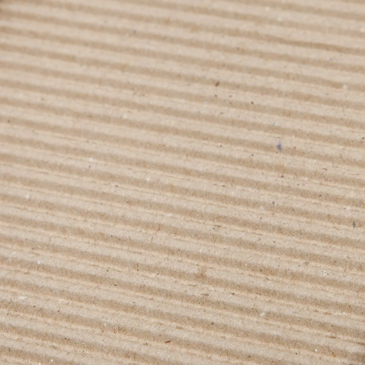 Cat Scratcher Pad