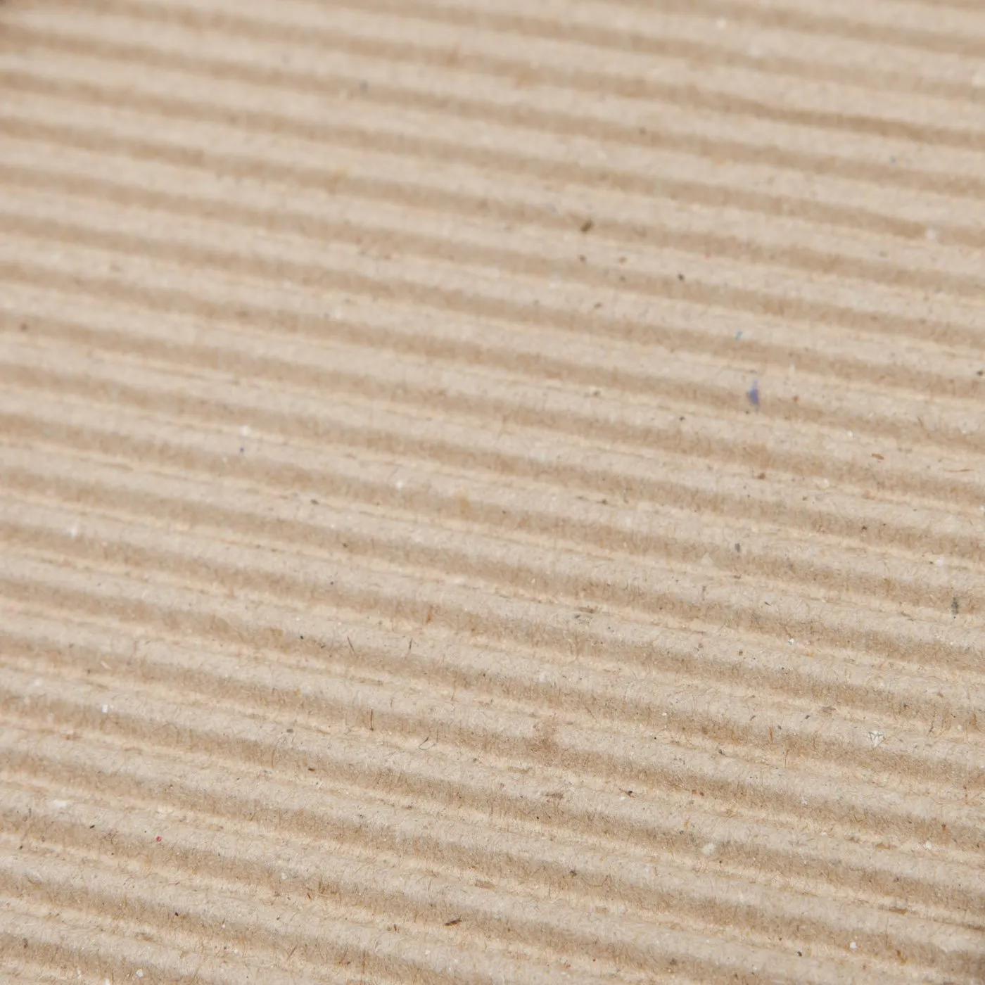 Cat Scratcher Pad
