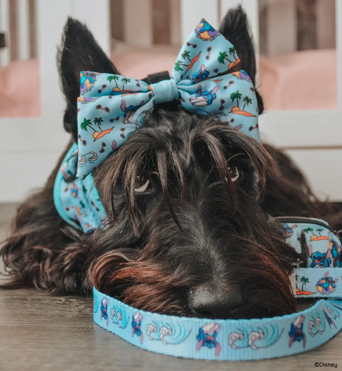 Dog Sailor Bow - Disney's Stitch