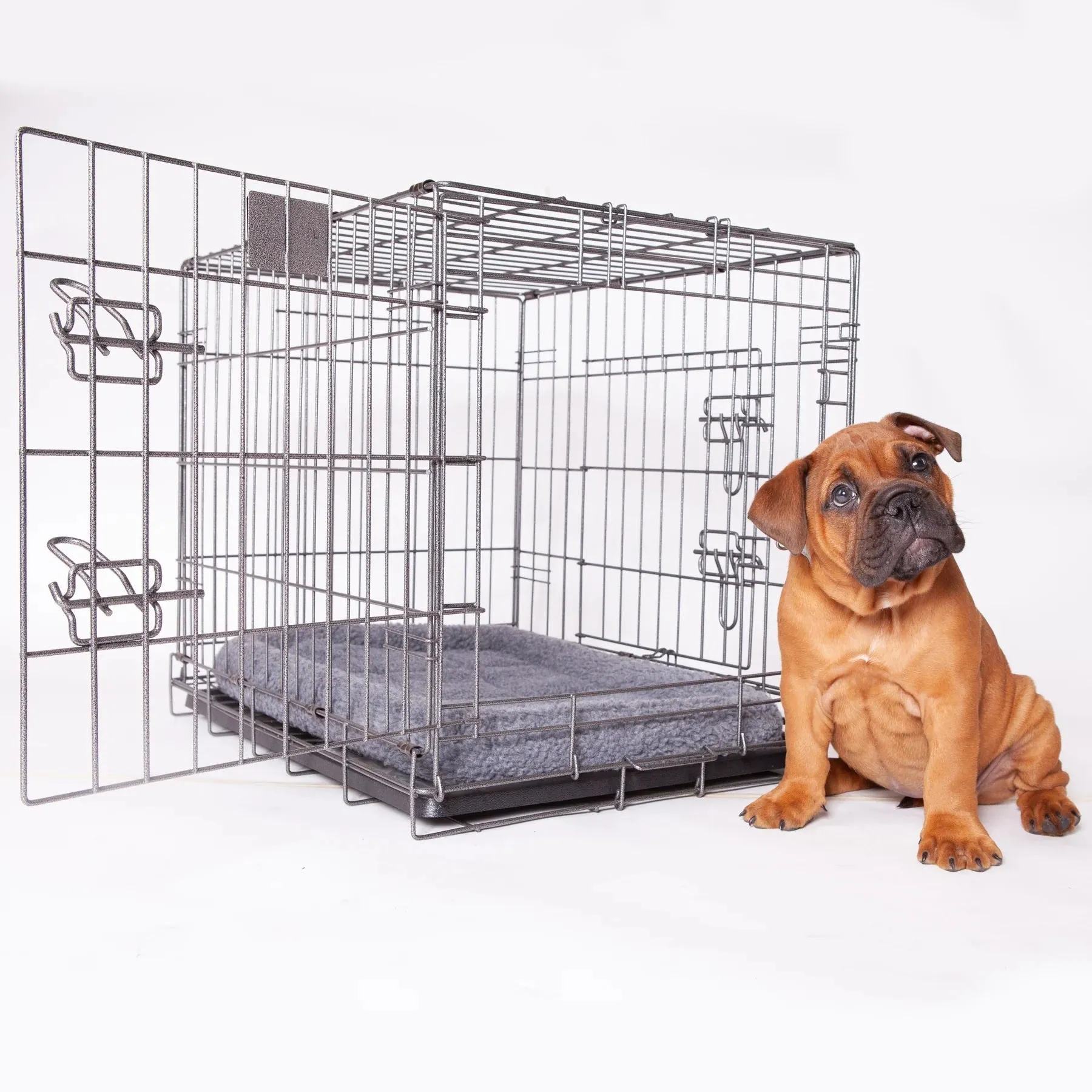 Kazoo Premium Dog Crate
