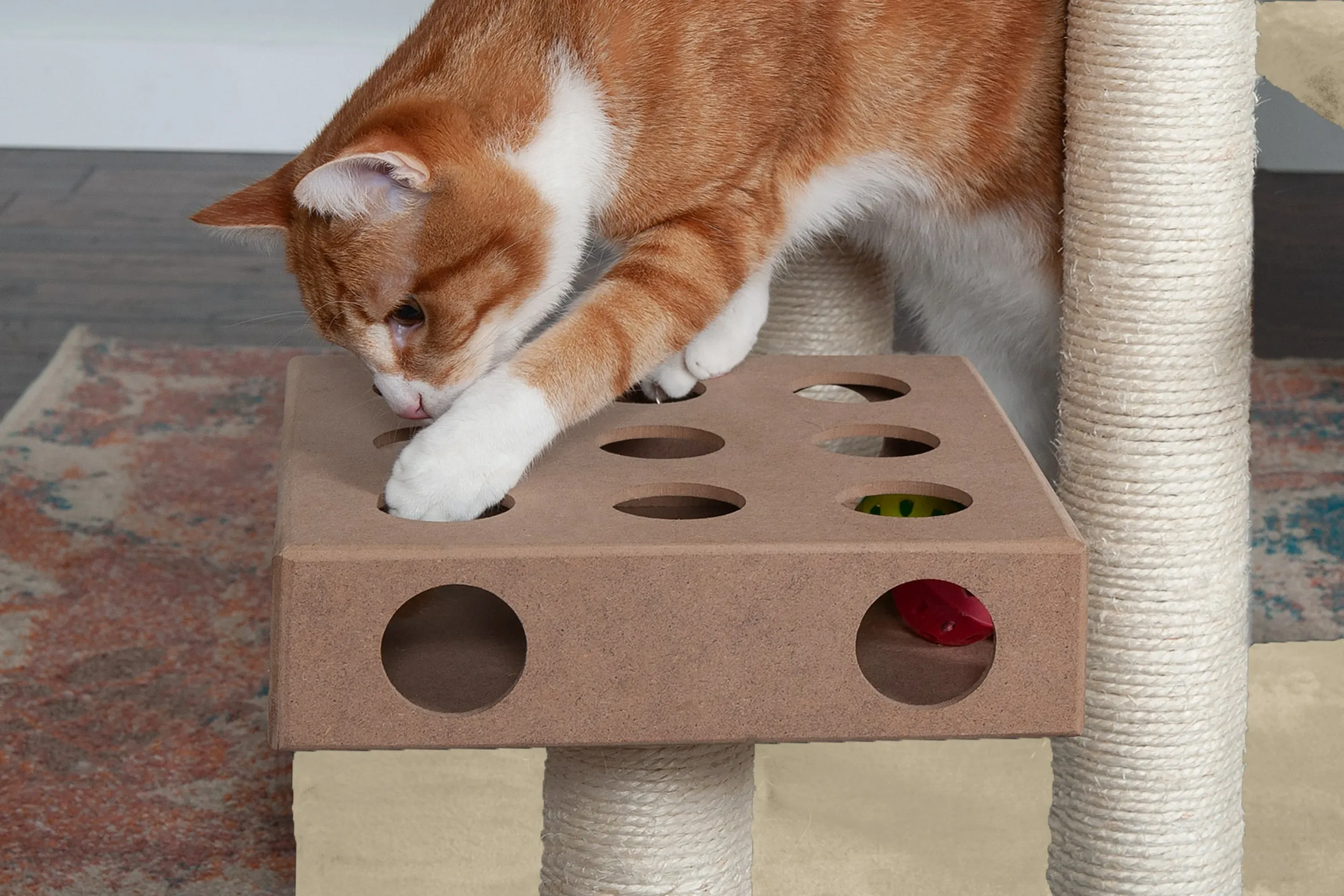 Play Stairs with Cat-IQ Busy Box
