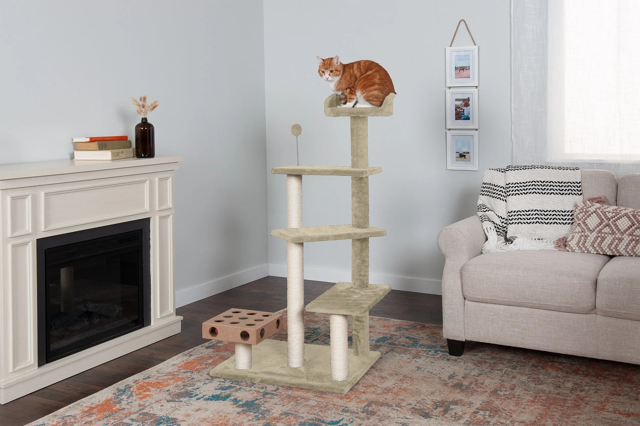 Play Stairs with Cat-IQ Busy Box