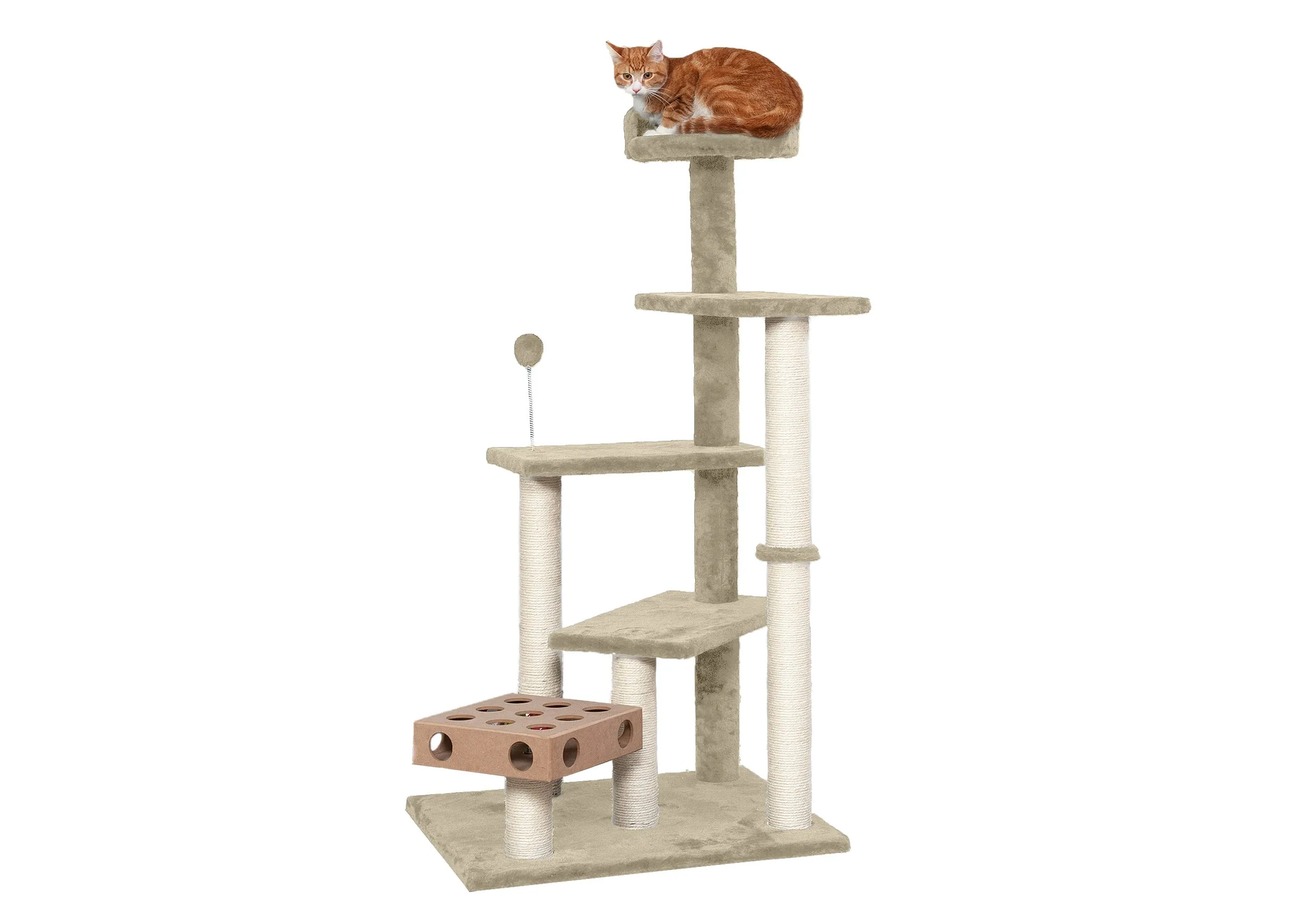 Play Stairs with Cat-IQ Busy Box