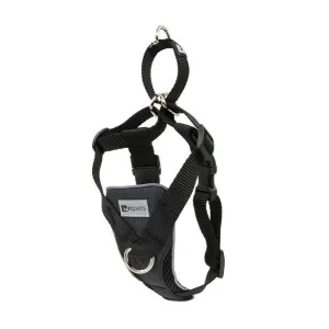 RC Pet Tempo No Pull Harness Heather Black