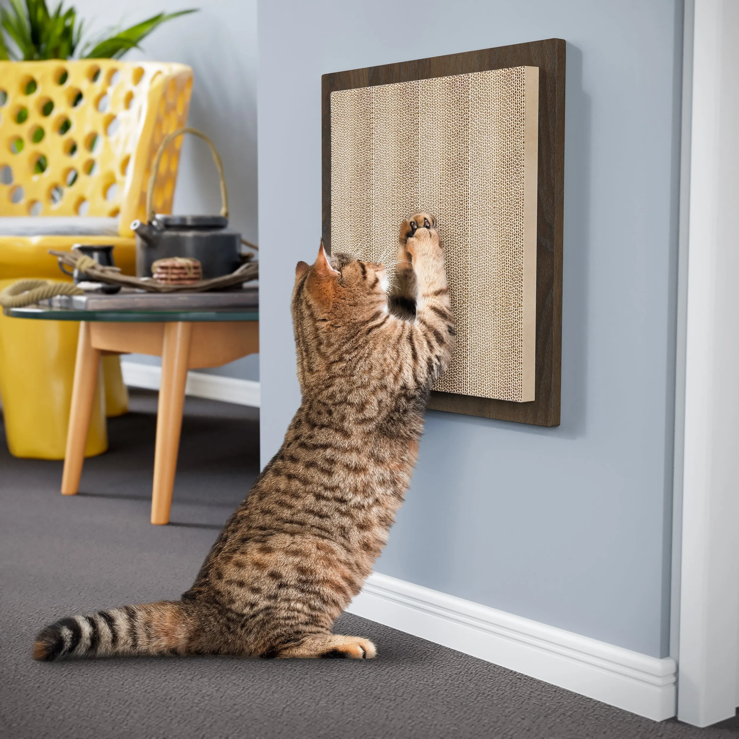 Square Wall Cat Scratcher, Royal Walnut (pre-order ships 6/30/25)