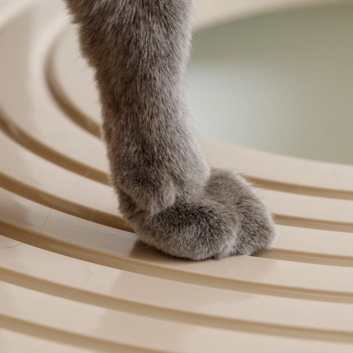 Top Entry Cat Litter Pan - Large