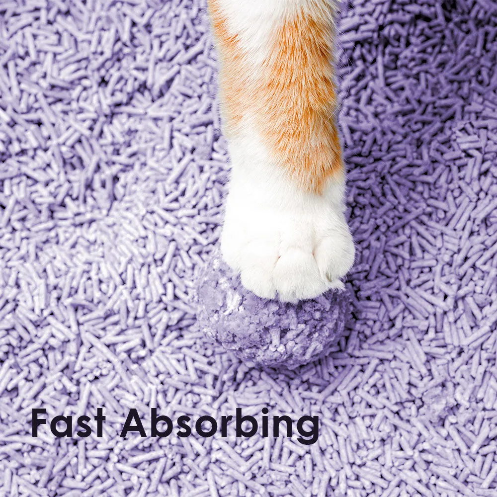 ZODIAC Fruity Biodegradable Flushable Tofu Cat Kitten Litter Blueberry 28L