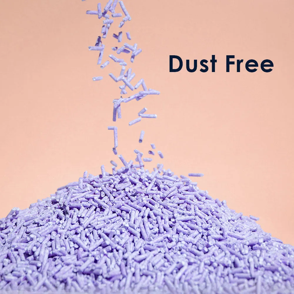 ZODIAC Fruity Biodegradable Flushable Tofu Cat Kitten Litter Blueberry 28L